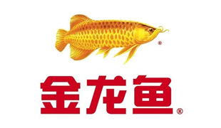 金龍魚(yú)